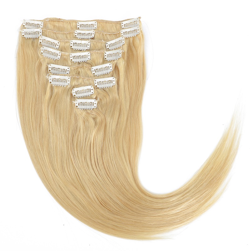 Blonde(#613)-Classic Clip Ins Hair