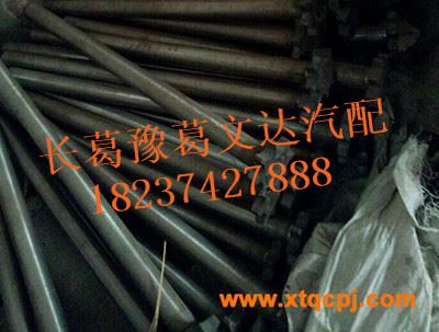 肖子轴